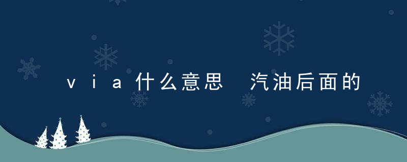via什么意思 汽油后面的VIA标识是什么意思